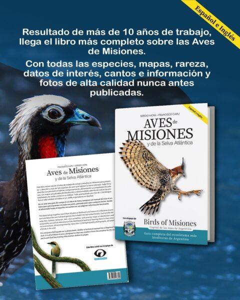 Imagen Noticia