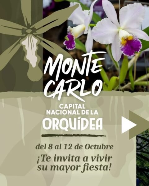 Imagen Noticia