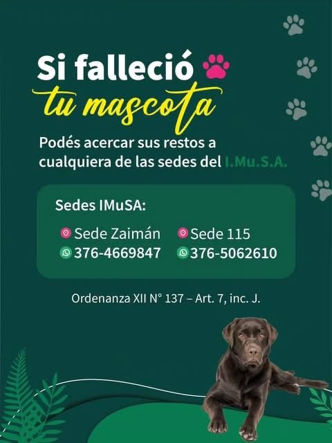 Imagen Noticia