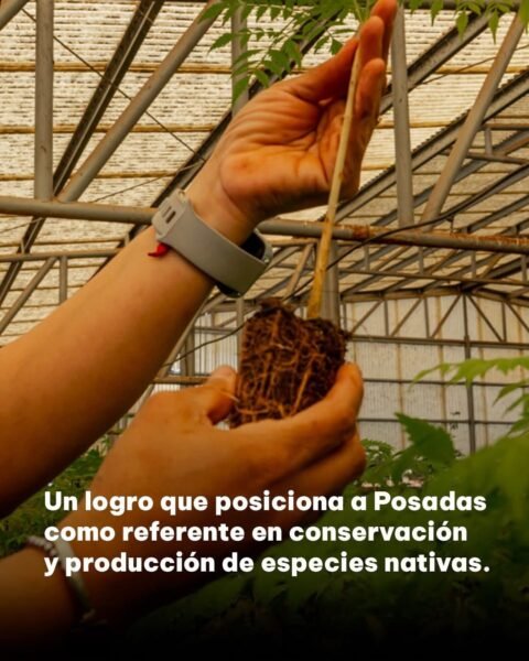 Imagen Noticia