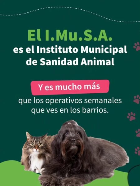 Imagen Noticia
